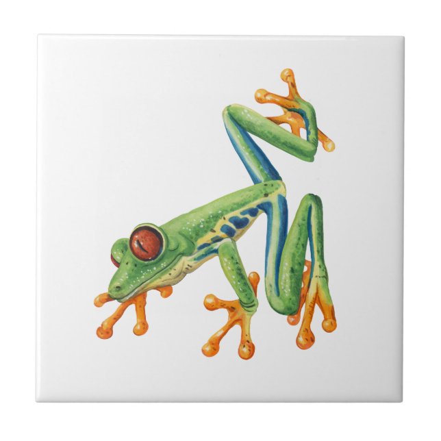 Carreau Grenouille arboricole (Devant)