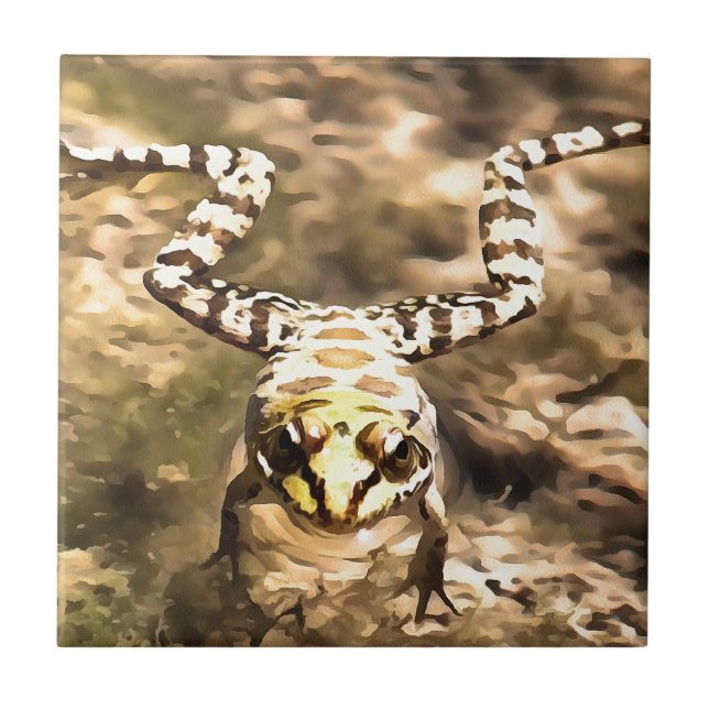 Carreau Grenouille De Baignade Immergée Dans La Rivière Cl (Devant)
