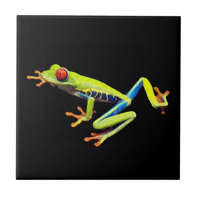 Carreau Grenouille peinte aux yeux rouges (Devant)