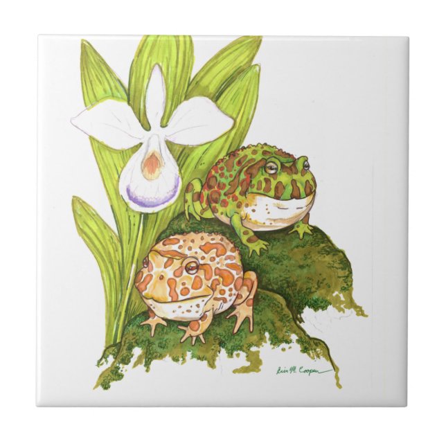 Carreau Grenouilles à cornes (Devant)