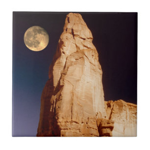 Carreau Grès Pinacle