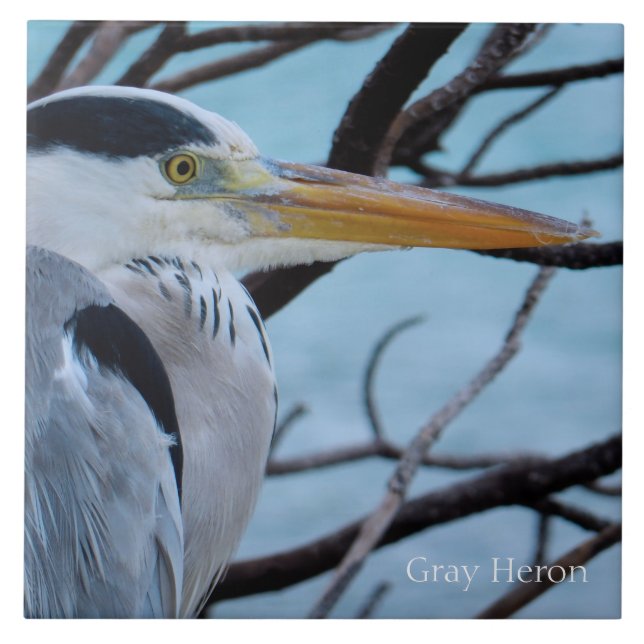Carreau Grey Heron (Devant)