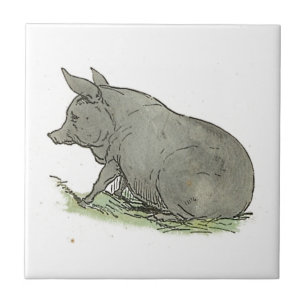 Carreau Grey Pig Livre pour enfants Piggy Farm Animal Art