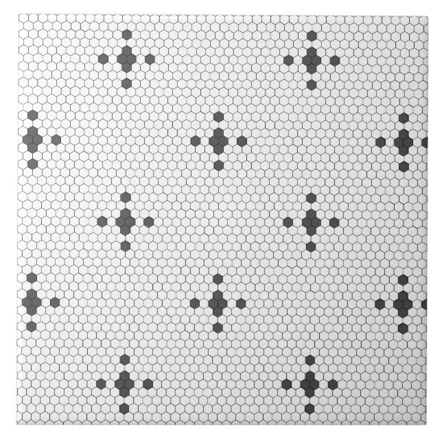 Carreau Gris étoile 4 pointes Faux Penny Tile Hexagon Tile (Devant)