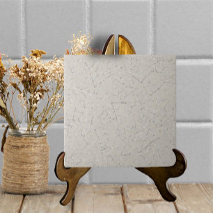 Carreau Gris Gris Cracké Glaze Simple Texture moderne