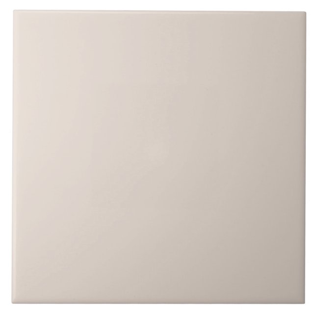 Carreau Gris Taupe Atténué (Devant)