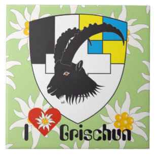 Carreau Grischun Grigioni Fliese