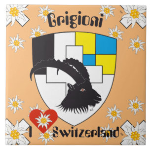 Carreau Grischun Grigioni Fliese