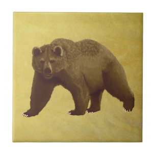 Carreau Grizzly Bear