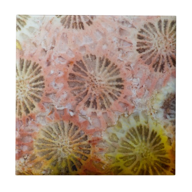 Carreau Gros plan de corail rose (Devant)