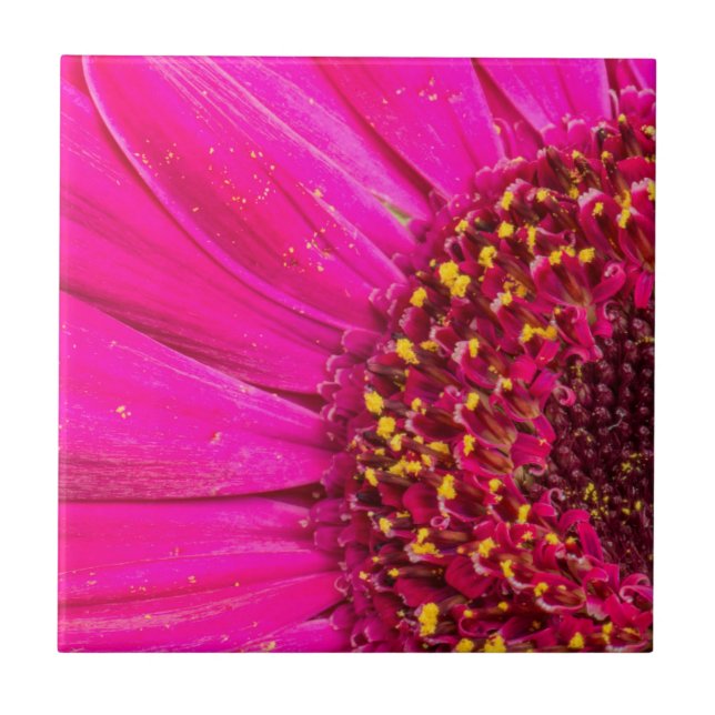 Carreau Gros plan d'une marguerite de Gerber (Devant)
