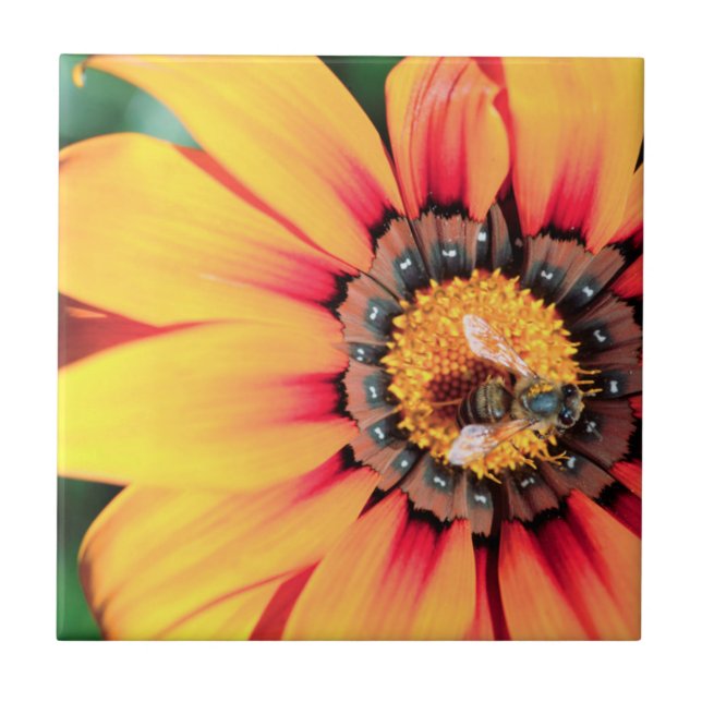 Carreau Gros plan extrême d'une abeille collectant du poll (Devant)