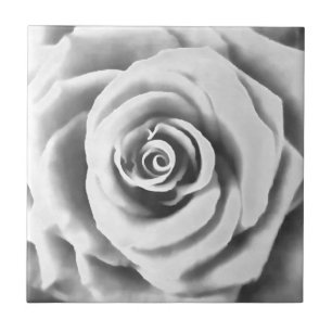 Carreau Grosse Rose blanche artistique
