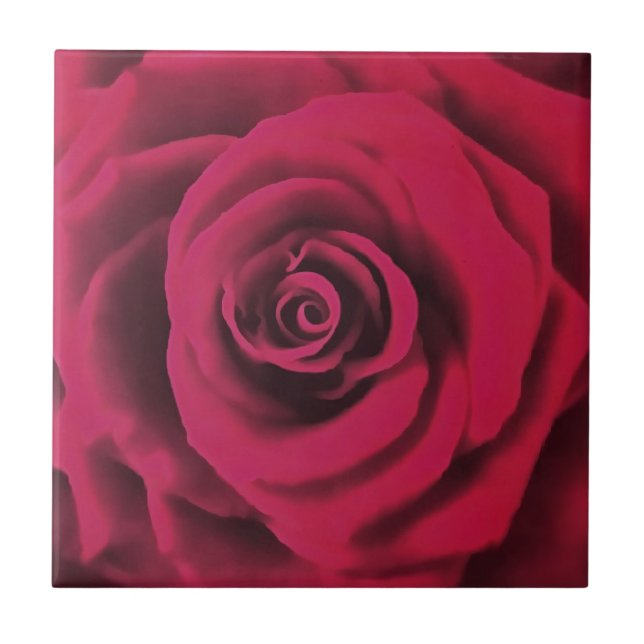 Carreau Grosse Rose rouge (Devant)