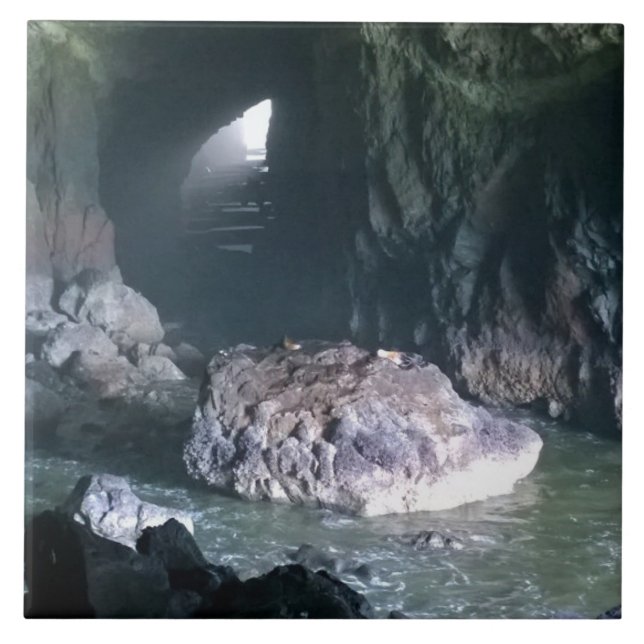 Carreau Grotte de lion de mer, OU (Devant)