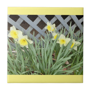 Carreau Groupe de Daffodiles