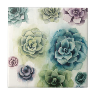 Carreau Groupe de succulents