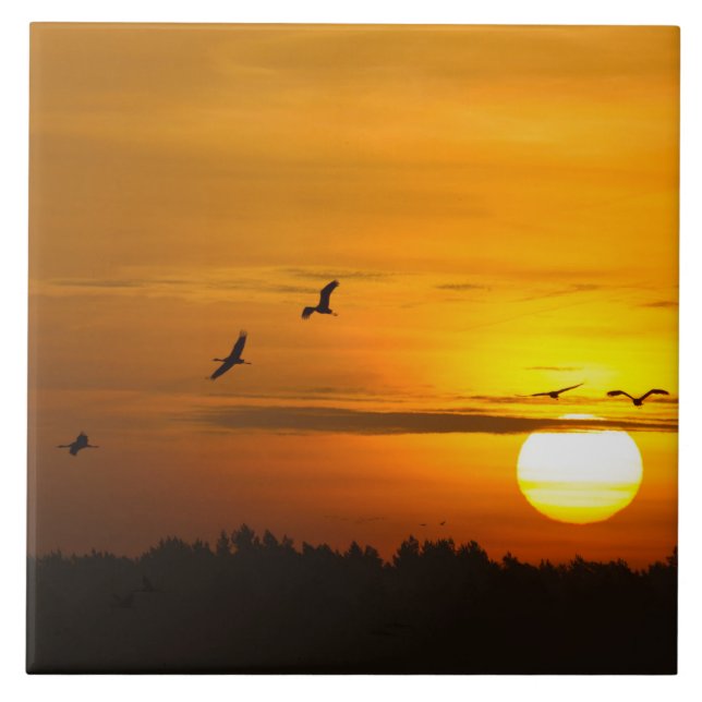 Carreau Grues au lever du soleil (Devant)