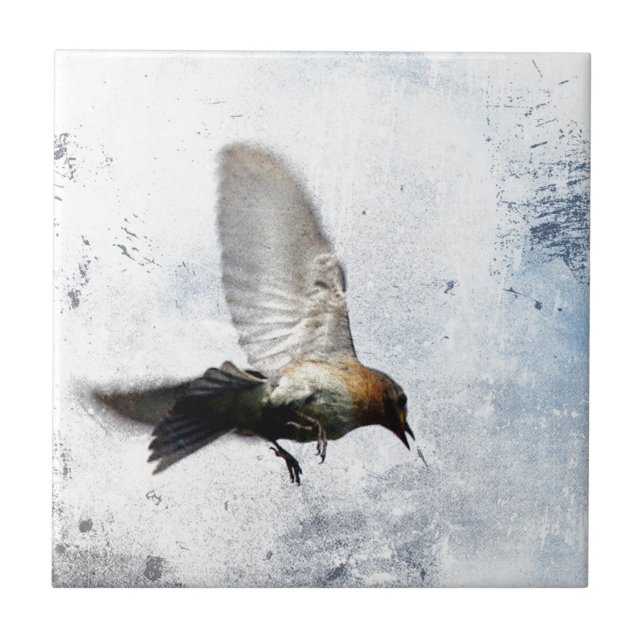 Carreau Grunge de Bluebird (Devant)