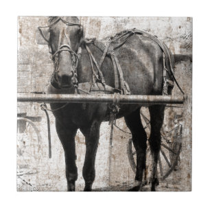 Carreau Grunge de cheval Amish