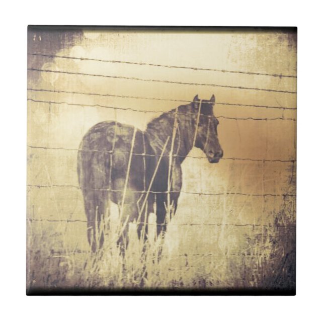 Carreau Grunge de Cheval Noir (Devant)