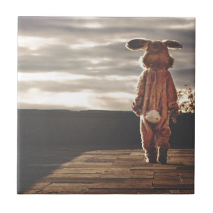 Carreau grunge de lapin