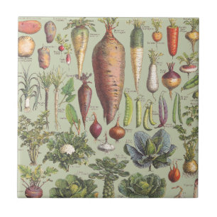 Carreau Guide français du jardin