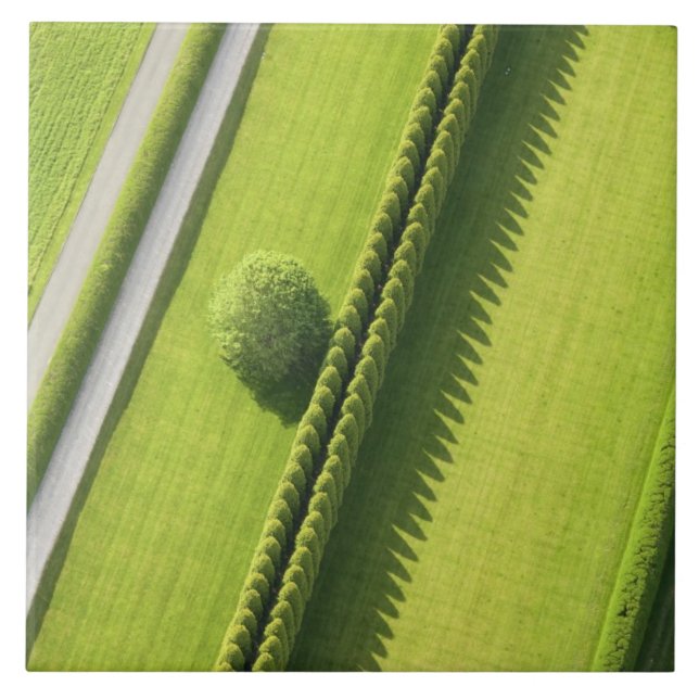 Carreau Haie dans le Hamptons (Devant)