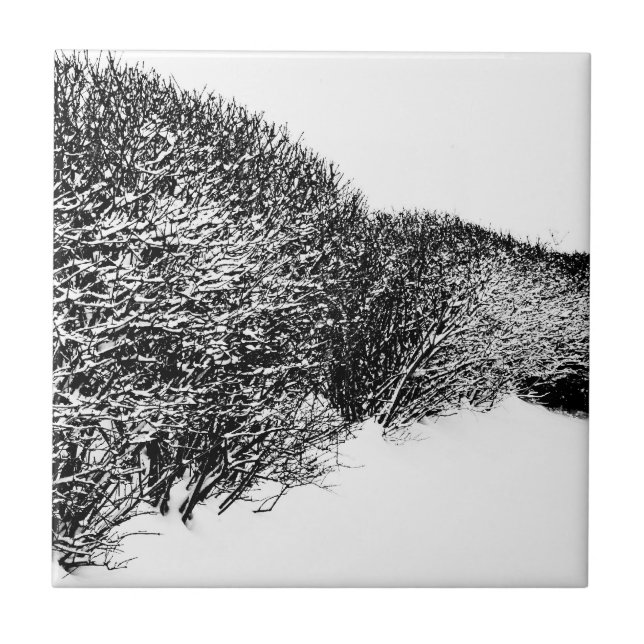 Carreau haie d'hiver (Devant)