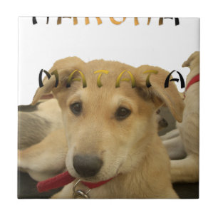 Carreau "Hakuna Matata Pup" - Insouciant Amour des chiots