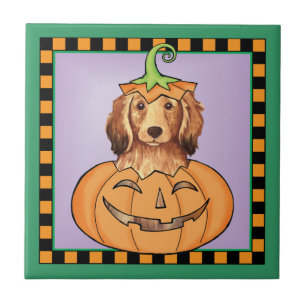 Carreau Halloween Dachshund