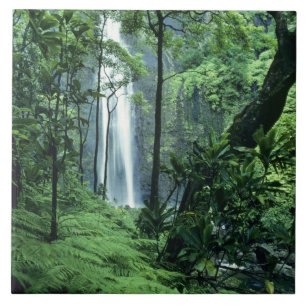 Carreau Hanakapiai tombe le long de la côte de Na Pali, 