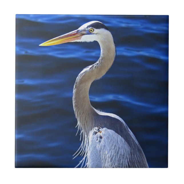 Carreau Hank le héron (Devant)