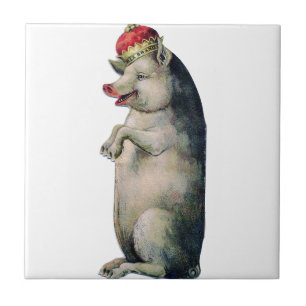 Carreau Happy pig king