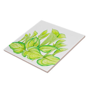 Carreau 'Harmonie en vert' sur un carrelage en céramique