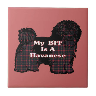CARREAU HAVANESE BFF