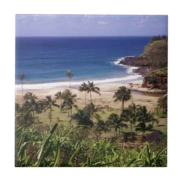 Carreau Hawaï (Devant)