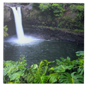 Carreau Hawaï, Big Island, Hilo, Rainbow Falls, Lush