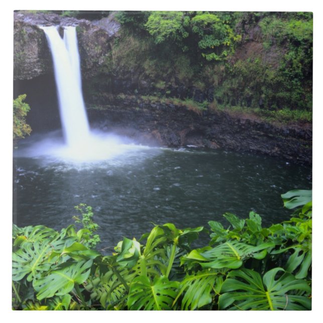 Carreau Hawaï, Big Island, Hilo, Rainbow Falls, Lush (Devant)