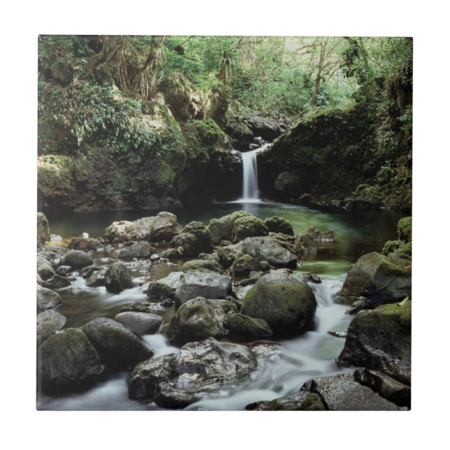 Carreau Hawaii, Maui, Une cascade se jette dans la piscine (Devant)