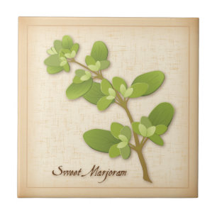 Carreau Herb de Sweet Marjoram