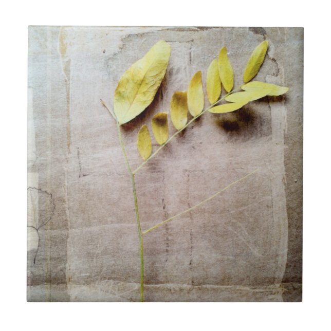 Carreau Herbarium V (Devant)