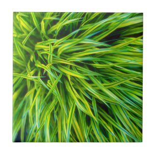 Carreau Herbe