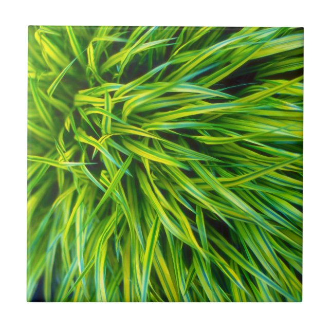 Carreau Herbe (Devant)