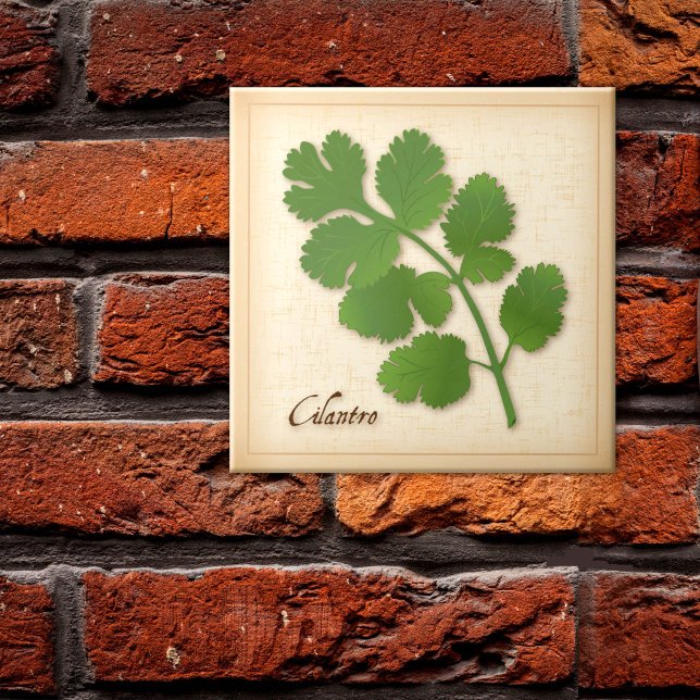 Carreau Herbe de coriandre (Cilantro Herb Ceramic Tile, aromatic leaves with a distinctive flavor. )