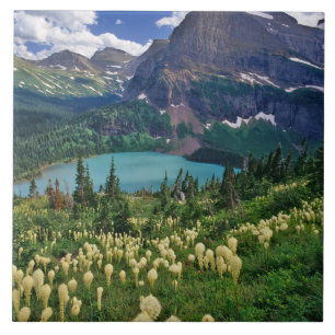 Carreau Herbe d'ours au-dessus du lac Grinnell dans les Ma