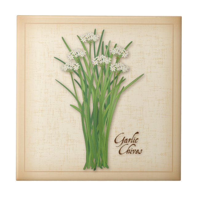 Carreau Herbe Garlic Chives (Devant)