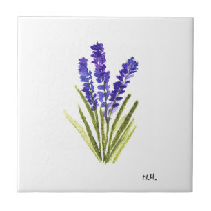 Carreau Herbe lavande fleurs plantes fleurs pourpres cera