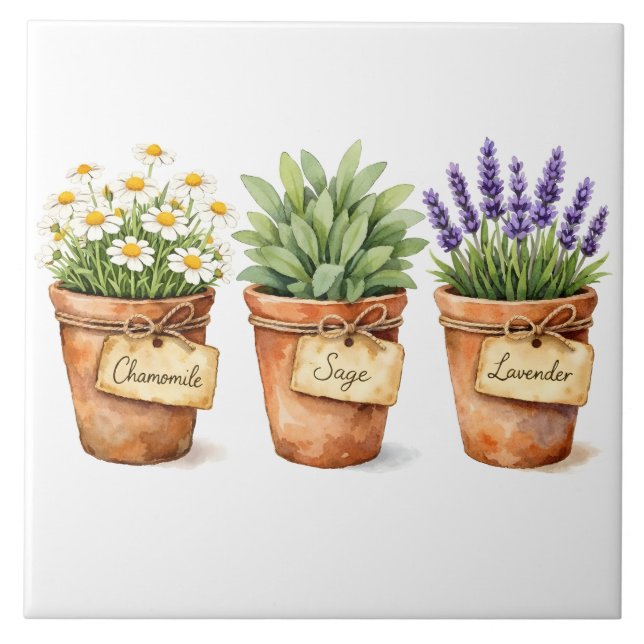 Carreau Herbes à l'aquarelle poussant dans les pots  (Devant)