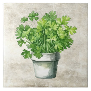 Carreau Herbes de persil rustique Aquarelles Vintages neut